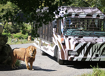 富士サファリパーク